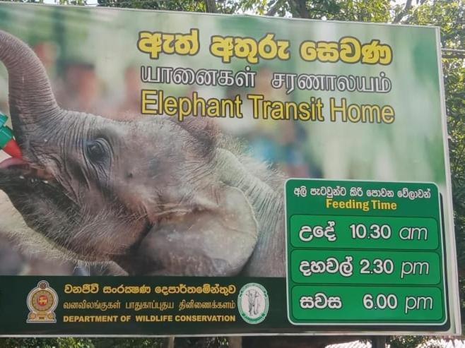Udawalawe Wildlife & Nature Protection Bungalow Exterior foto